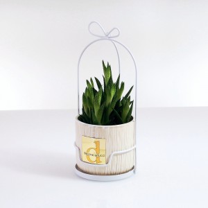 Gabbietta metallo bianco con caspò ceramica colore avorio e piantina grassa