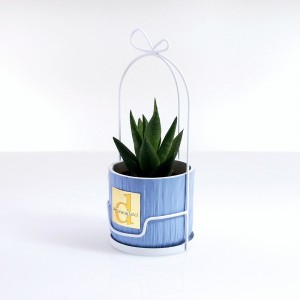 Gabbietta metallo bianco con caspò ceramica colore celeste e piantina grassa