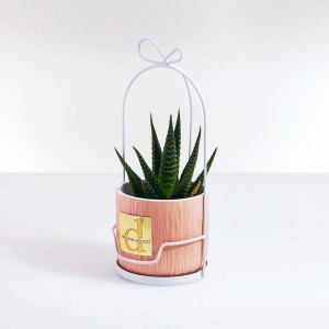 Gabbietta metallo bianco con caspò ceramica colore rosa e piantina grassa