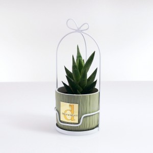 Gabbietta metallo bianco con caspò ceramica colore verde piantina grassa