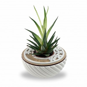 Daisy / Porta pianta grassa resina e legno decoro margherite