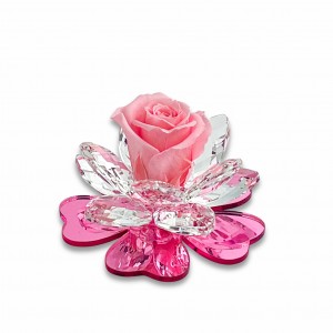 Iris / Fiore grande cristallo base plex pink - rosa stabilizzata rosa