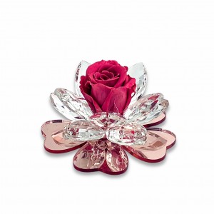 Iris / Fiore grande cristallo base plex rosè - rosa stabilizzata oldpink